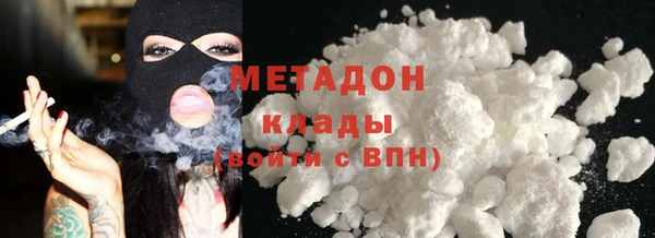 шишки Арсеньев