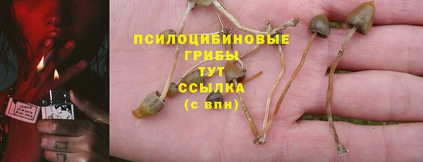 шишки Аркадак