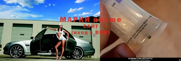 шишки Аркадак