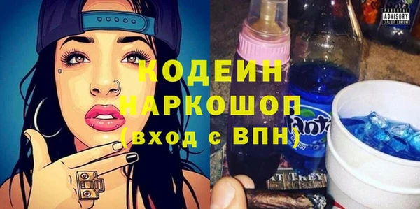 молекула духа Новозыбков