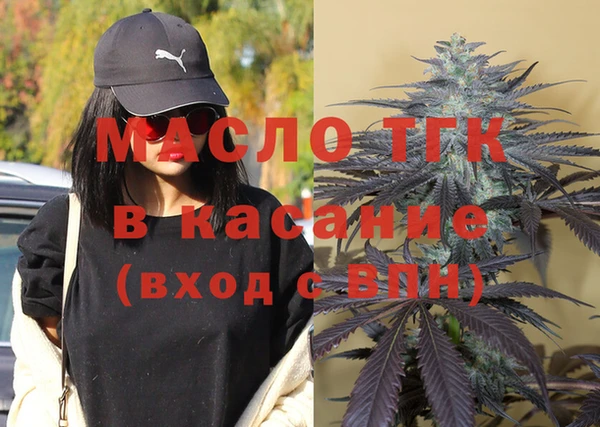 шишки Арсеньев