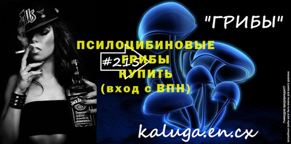 шишки Арсеньев